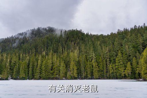 有關消滅老鼠