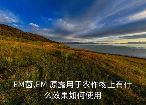 EM菌,EM 原露用于農作物上有什么效果如何使用