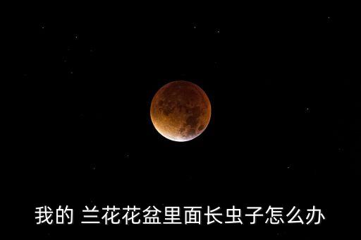 蘭花病蟲用什么農(nóng)藥,蘭花要噴射什么農(nóng)藥