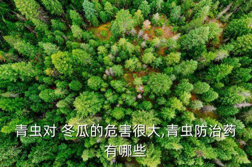 青蟲對 冬瓜的危害很大,青蟲防治藥有哪些