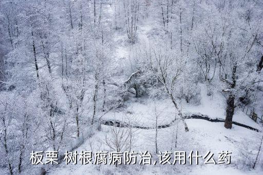 板栗 樹根腐病防治,該用什么藥