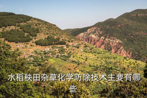 水稻雜禾用什么農藥殺死,水稻農藥什么時間打效果最好