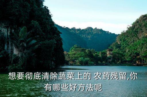 想要徹底清除蔬菜上的 農(nóng)藥殘留,你有哪些好方法呢