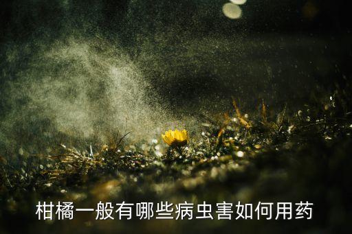 柑桔3月噴什么農藥好,柑桔防凍劑什么時噴最佳