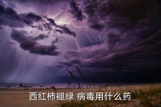 番茄病毒病用什么農藥6,小番茄病毒病用什么藥