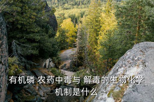 有機磷 農藥中毒與 解毒的生物化學機制是什么