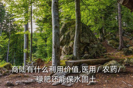商陸有什么利用價值,醫用/ 農藥/綠肥還能保水固土