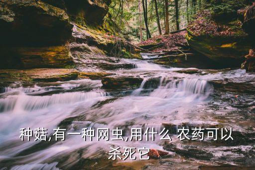 什么農藥能殺死茅草根毒蟲