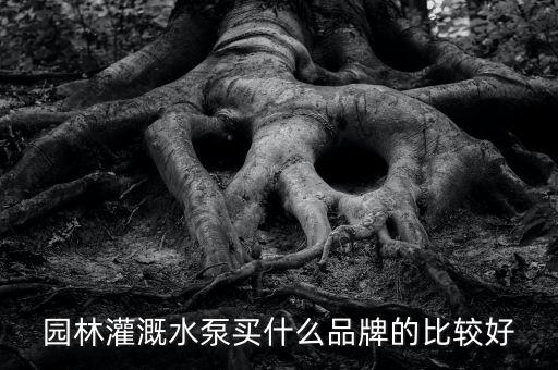 園林灌溉水泵買什么品牌的比較好
