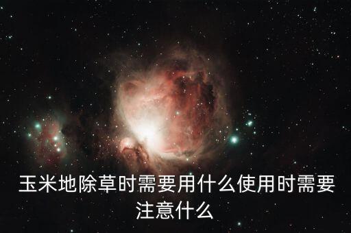 東北玉米打農(nóng)藥用什么