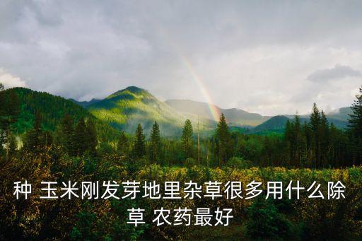 種 玉米剛發芽地里雜草很多用什么除草 農藥最好