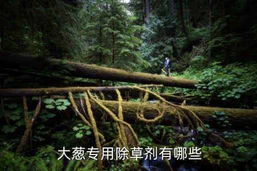  大蔥專用除草劑有哪些