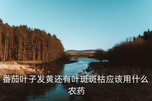 西紅柿要打什么農藥