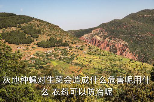 什么農藥蒼蠅愛吃,金蒼蠅用什么農藥來滅?