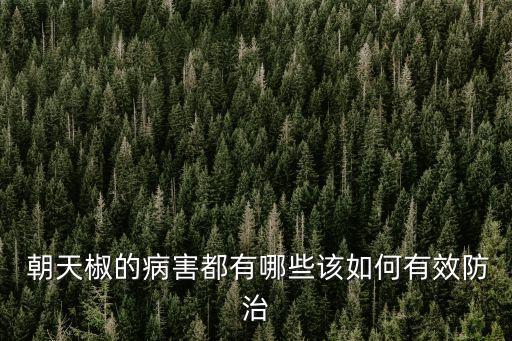 朝天椒噴什么農(nóng)藥好
