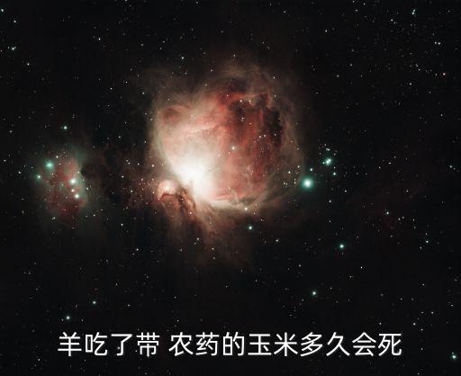 山羊農(nóng)藥中毒什么癥狀,農(nóng)藥中毒有什么癥狀,怎么緩解