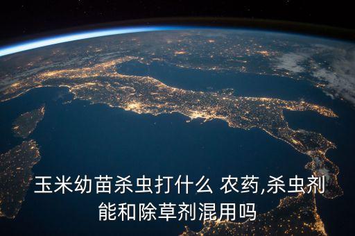 秋天玉米打什么農藥好使,秋天成熟的玉米像什么