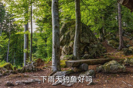 下雨天釣魚好嗎