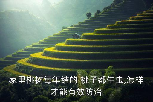 家里桃樹每年結的 桃子都生蟲,怎樣才能有效防治
