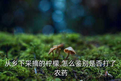 水果打了什么農藥,水果用什么泡去農藥
