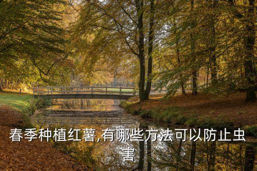 春季種植紅薯,有哪些方法可以防止蟲害