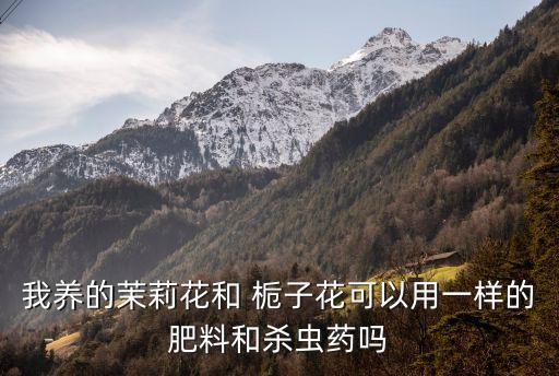 什么農藥對梔子花有效,梔子花打什么農藥