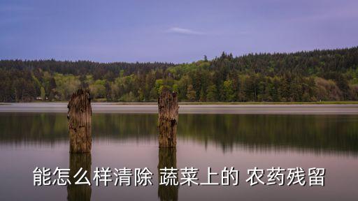 能怎么樣清除 蔬菜上的 農藥殘留