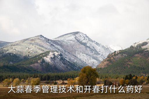 大蒜生病打什么農(nóng)藥,大蒜增產(chǎn)用什么農(nóng)藥