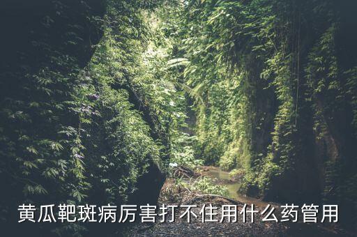 烤煙角斑病打什么農(nóng)藥