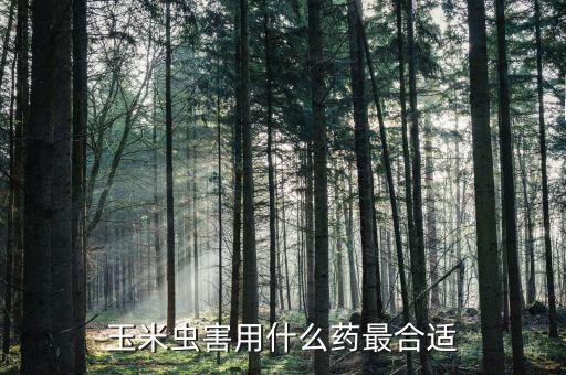 青菜有蟲打什么農藥好,弓背蟲用什么農藥