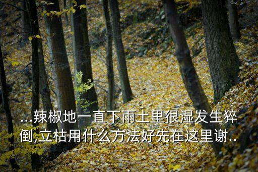 ...辣椒地一直下雨土里很濕發生猝倒,立枯用什么方法好先在這里謝...