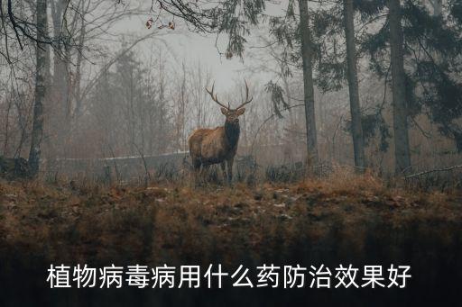 農藥32度打什么藥,蔬菜打農藥什么時間好