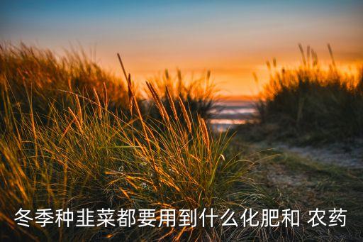 冬季種韭菜都要用到什么化肥和 農(nóng)藥