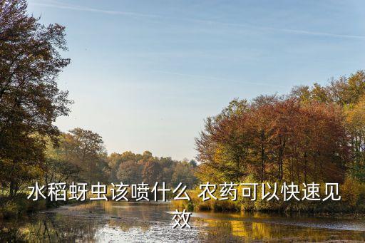  水稻蚜蟲該噴什么 農藥可以快速見效
