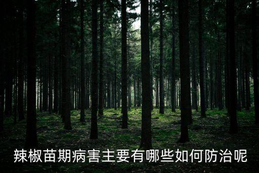  辣椒苗期病害主要有哪些如何防治呢