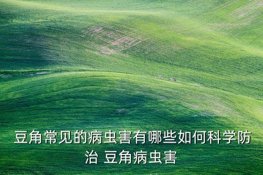  豆角常見的病蟲害有哪些如何科學防治 豆角病蟲害