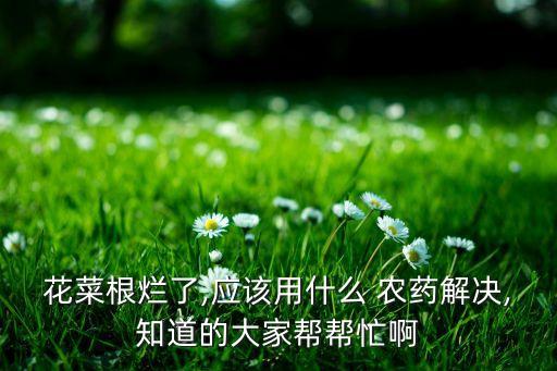 清決是什么農藥,666粉是什么農藥