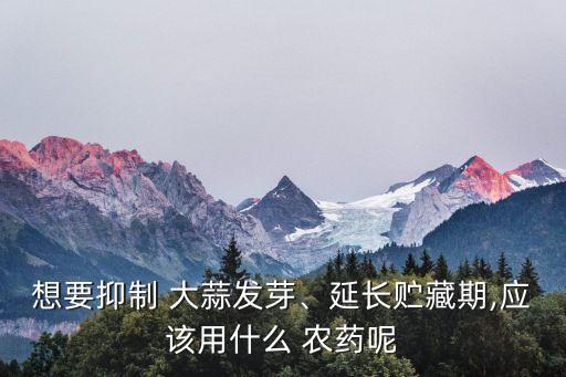 想要抑制 大蒜發(fā)芽、延長貯藏期,應(yīng)該用什么 農(nóng)藥呢