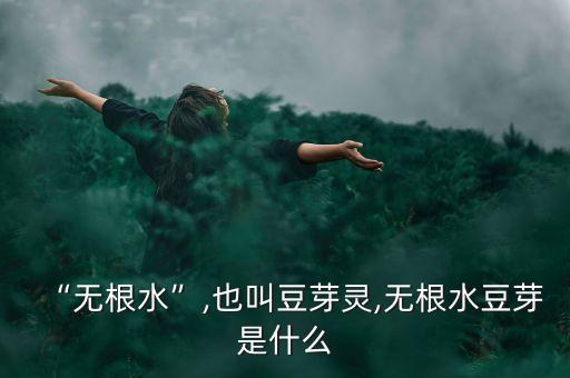 “無根水”,也叫豆芽靈,無根水豆芽是什么
