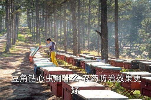 豆角葉片有洞打什么農藥