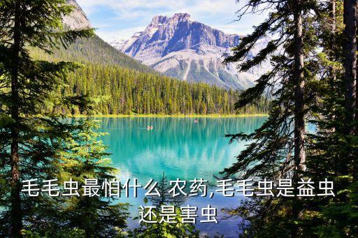 毛毛蟲最怕什么 農藥,毛毛蟲是益蟲還是害蟲