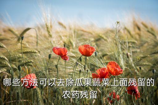 哪些方法可以去除瓜果蔬菜上面殘留的 農(nóng)藥殘留