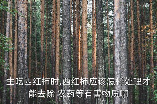 生吃西紅柿時,西紅柿應該怎樣處理才能去除 農(nóng)藥等有害物質(zhì)啊