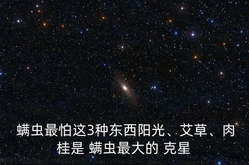  螨蟲最怕這3種東西陽光、艾草、肉桂是 螨蟲最大的 克星