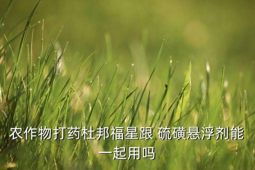 農作物打藥杜邦福星跟 硫磺懸浮劑能一起用嗎