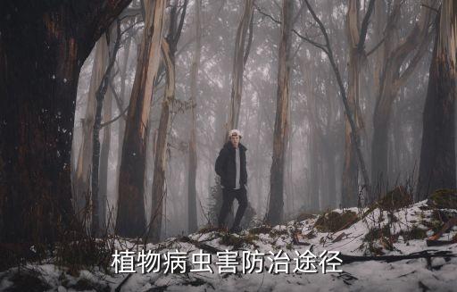 植物病蟲害防治途徑