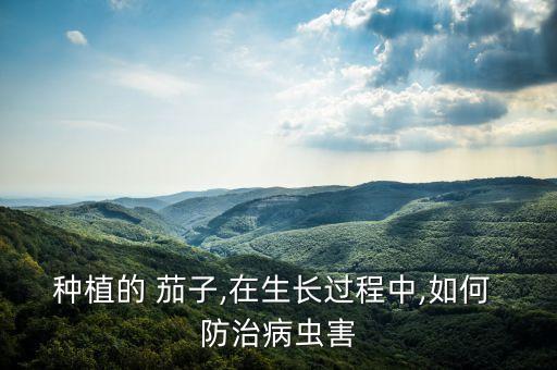 種植的 茄子,在生長過程中,如何 防治病蟲害