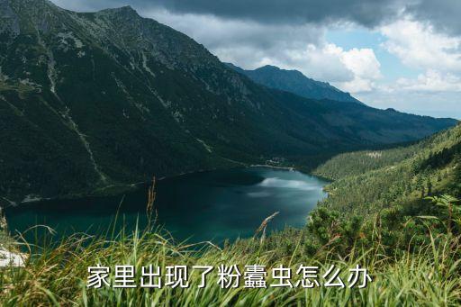 家里出現(xiàn)了粉蠹蟲怎么辦