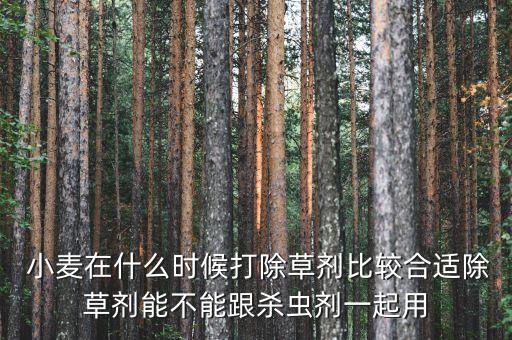 小麥什么時間打農藥好,小麥倒春寒用什么農藥