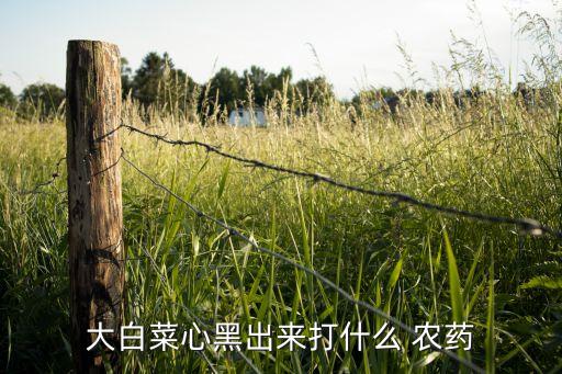 大白菜心黑出來打什么 農藥